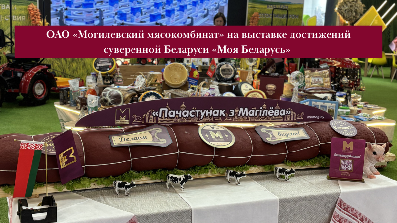 Выставка достижений суверенной Беларуси «Моя Беларусь»
